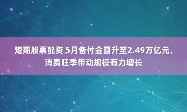 短期股票配资 5月备付金回升至2.49万亿元，消费旺季带动规模有力增长