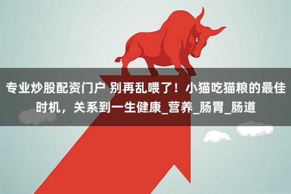 专业炒股配资门户 别再乱喂了！小猫吃猫粮的最佳时机，关系到一生健康_营养_肠胃_肠道