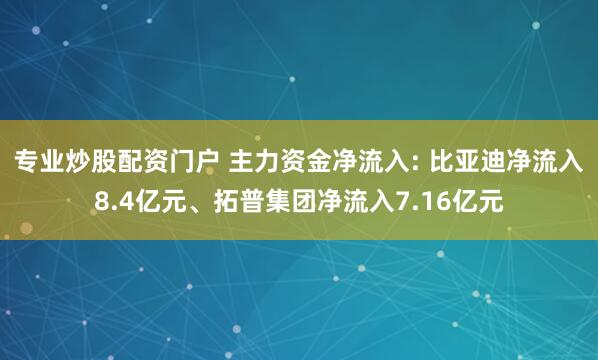 专业炒股配资门户 主力资金净流入: 比亚迪净流入8.4亿元、拓普集团净流入7.16亿元